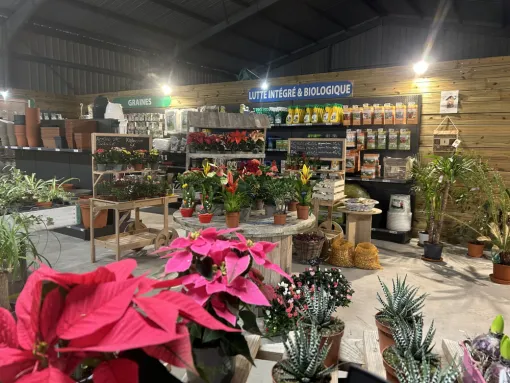 Arrivage de plantes d'intérieur, Ribérac, JARDINERIE DRONNEAU