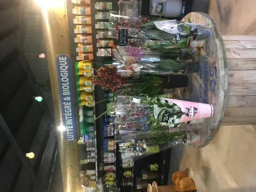 Les fleurs et les compositions pour Noël sont rendu pour votre plus grand plaisir, Chalais, JARDINERIE DRONNEAU