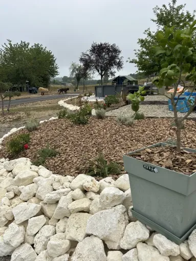 L'espace paysage se développe dans notre jardinerie à Chalais, Chalais, JARDINERIE DRONNEAU