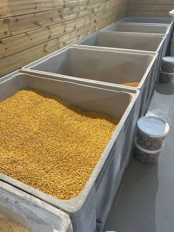 Qui appeler pour se procurer de la nourriture en vrac pour animaux de la basse-cour ?, Ribérac, JARDINERIE DRONNEAU