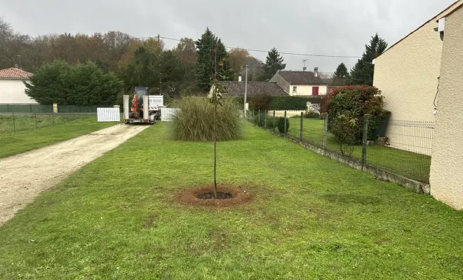 Plantation de 2 arbres d’ornement chez un particulier, Chalais, JARDINERIE DRONNEAU