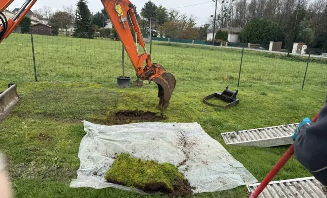 Plantation de 2 arbres d’ornement chez un particulier, Chalais, JARDINERIE DRONNEAU