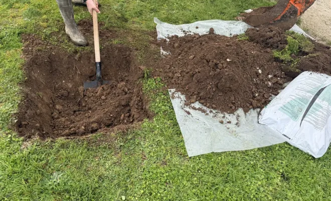 Plantation de 2 arbres d’ornement chez un particulier, Chalais, JARDINERIE DRONNEAU