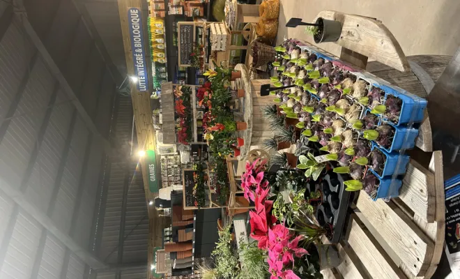 Arrivage de plantes d'intérieur, Ribérac, JARDINERIE DRONNEAU