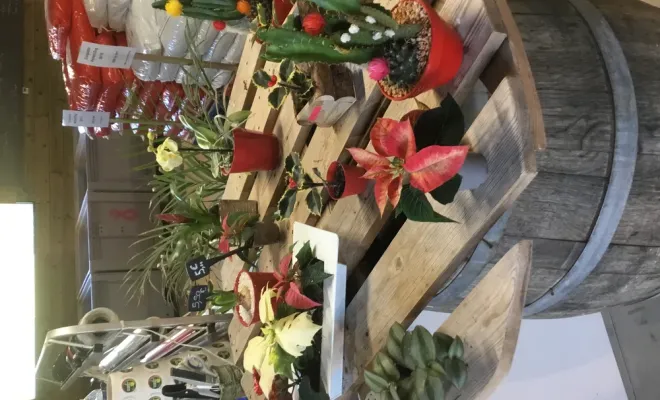 Les fleurs et les compositions pour Noël sont rendu pour votre plus grand plaisir, Chalais, JARDINERIE DRONNEAU