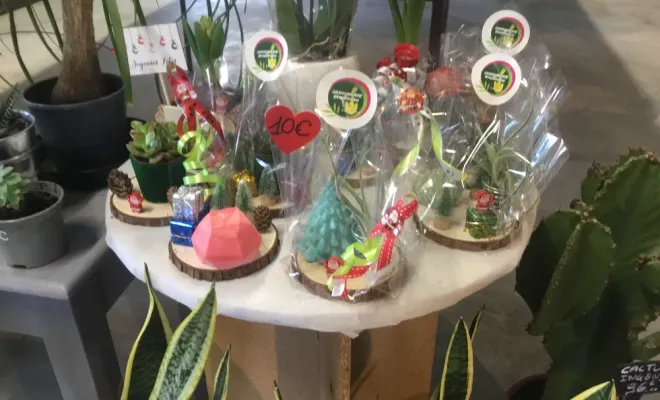 Plaisir d’offrir : venez profiter de nos plantes et compositions pour les fêtes de fin d’année, Chalais, JARDINERIE DRONNEAU
