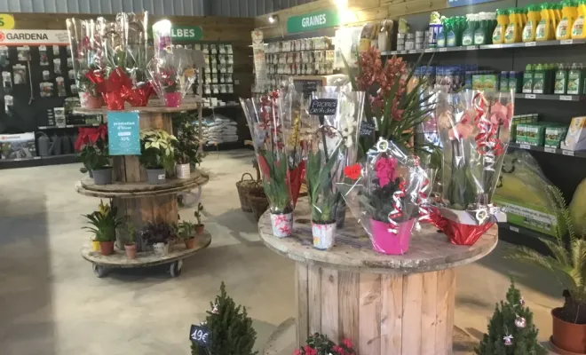 Plaisir d’offrir : venez profiter de nos plantes et compositions pour les fêtes de fin d’année, Chalais, JARDINERIE DRONNEAU