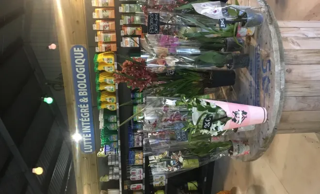 Plaisir d’offrir : venez profiter de nos plantes et compositions pour les fêtes de fin d’année, Chalais, JARDINERIE DRONNEAU