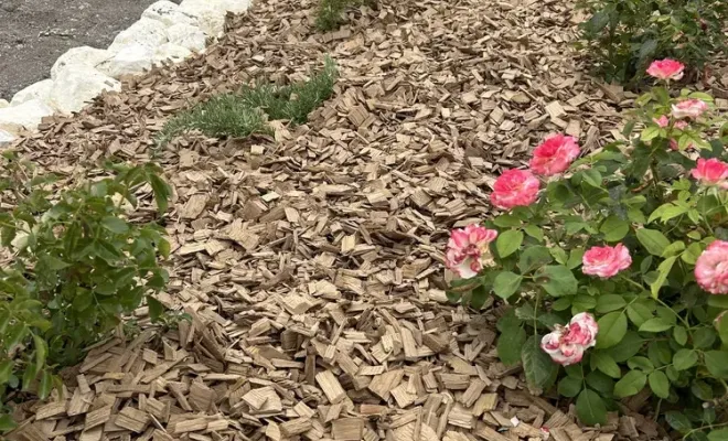 L'espace paysage se développe dans notre jardinerie à Chalais, Chalais, JARDINERIE DRONNEAU