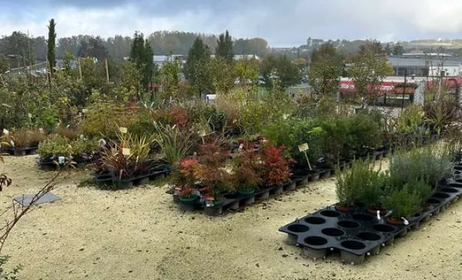 Pépinière, Ribérac, JARDINERIE DRONNEAU