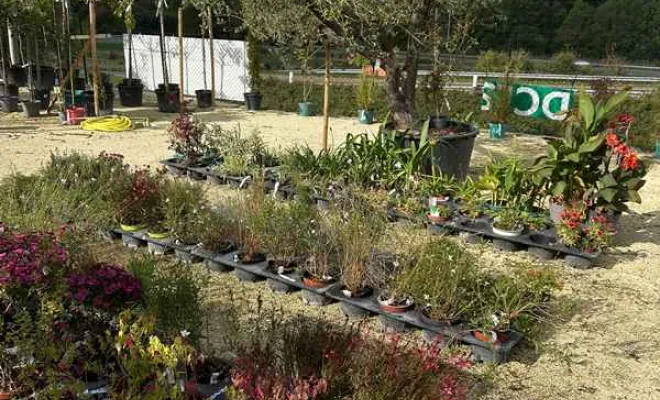 Pépinière, Ribérac, JARDINERIE DRONNEAU