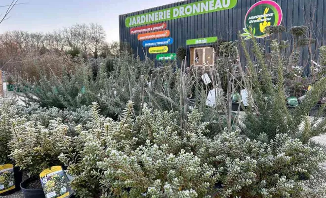 Pépinière, Ribérac, JARDINERIE DRONNEAU