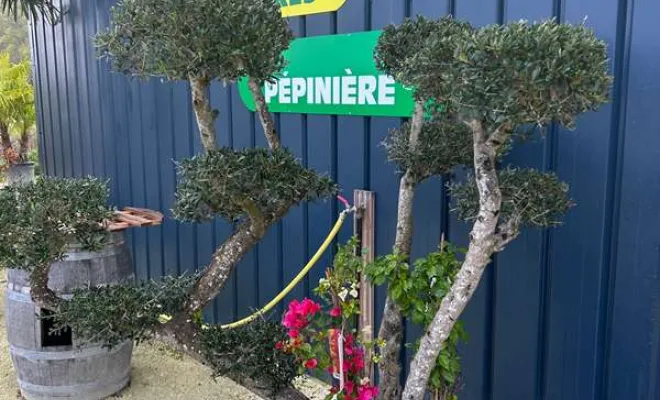 Pépinière, Ribérac, JARDINERIE DRONNEAU