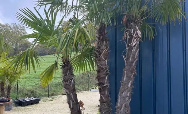 Pépinière, Ribérac, JARDINERIE DRONNEAU