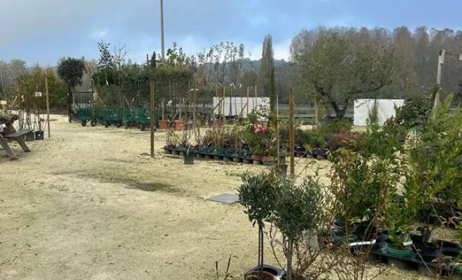 Pépinière, Ribérac, JARDINERIE DRONNEAU