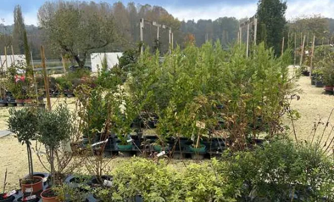 Pépinière, Ribérac, JARDINERIE DRONNEAU
