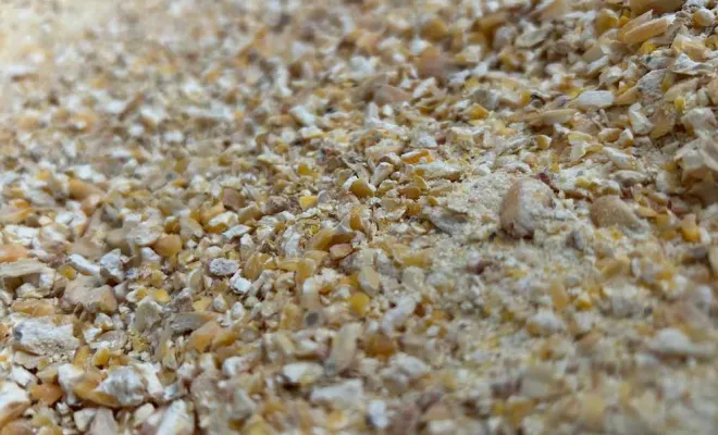 Vente d'alimentation animale, Ribérac, JARDINERIE DRONNEAU