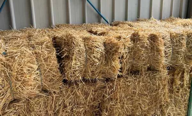 Vente d'alimentation animale, Ribérac, JARDINERIE DRONNEAU