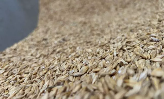 Vente d'alimentation animale, Ribérac, JARDINERIE DRONNEAU