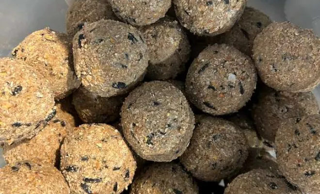 Vente d'alimentation animale, Ribérac, JARDINERIE DRONNEAU