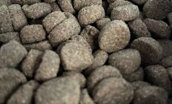 Vente d'alimentation animale, Ribérac, JARDINERIE DRONNEAU