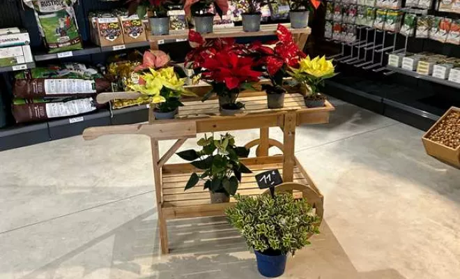 Vente de végétaux, Ribérac, JARDINERIE DRONNEAU