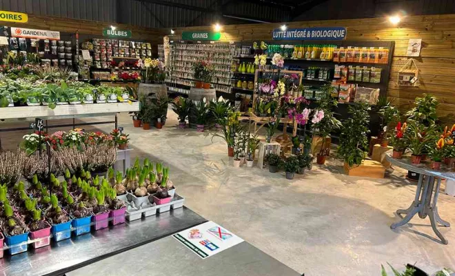 Vente de végétaux, Ribérac, JARDINERIE DRONNEAU