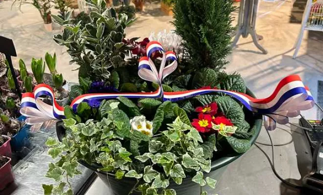 Vente de végétaux, Ribérac, JARDINERIE DRONNEAU