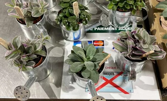 Vente de végétaux, Ribérac, JARDINERIE DRONNEAU