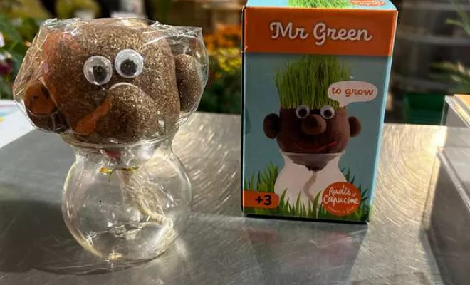 Vente de végétaux, Ribérac, JARDINERIE DRONNEAU