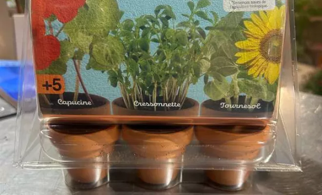 Vente de végétaux, Ribérac, JARDINERIE DRONNEAU