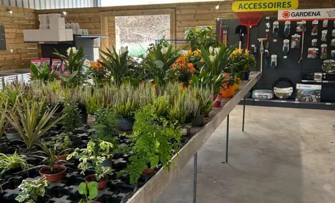 Vente de végétaux, Ribérac, JARDINERIE DRONNEAU