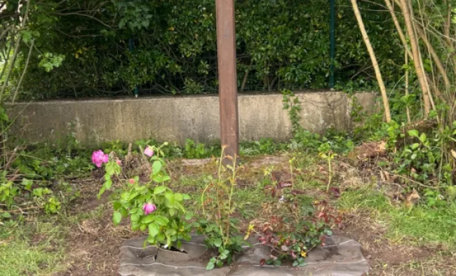 Rosier , Chalais, JARDINERIE DRONNEAU